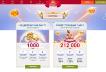 Аналитика интернет игрового клуба Кинг титульный лист