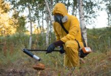 Грибы в Чернобыле растут до гигантских размеров и питаются радиацией замер радиации