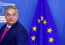 Вместе тесно: почему в Венгрии активизируется тема о выходе из ЕС венгерский президент