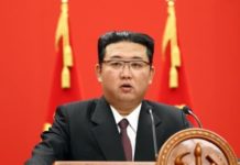 Коллапс в Северной Корее: власти призывают разводить лебедей на мясо северокорейский лидер