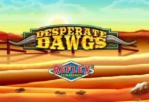 Откройте для себя Desperate Dawgs благодаря комбинации Yggdrasil и Reflex Gaming Discover Desperate Dawgs