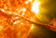 Две угрозы: Илон Маск объявил о черном сценарии для Земли активное расширение Солнца