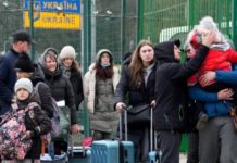 Беженцы и надвигающийся голод: сколько украинцев уехало из страны беженцы из Украины