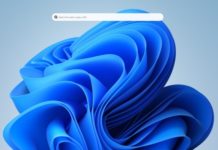 Новое обновление Windows 11: зачем добавлена панель поиска панель поиска в Windows 11