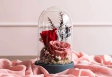 Сухоцветы под абажуром: декоративный хит дома сухоцветы под куполом