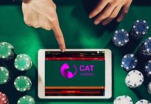 Популярные способы внесения депозита в онлайн казино внесения депозита в Cat casino