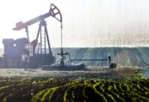 Резкое падение цен на нефть: почему и надолго ли резкое падение цен на нефть