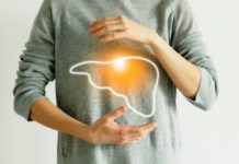Регенерация печени: сколько времени это занимает эффективная регенерация печени