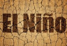 Эль-Ниньо: почему явление называют океанской лихорадкой явление Эль-Ниньо