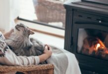 7 способов укрепить связь между кошкой и ее хозяином кошка и хозяин
