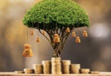 Цена рыночной власти: почему рост маржи вредит инновациям и усугубляет неравенство рыночная власть фирм,