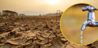 Неужели на Земле закончится вода: эксперты предупреждают о «водном банкротстве» использование водных ресурсов